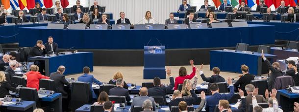 EUP Plenary Session